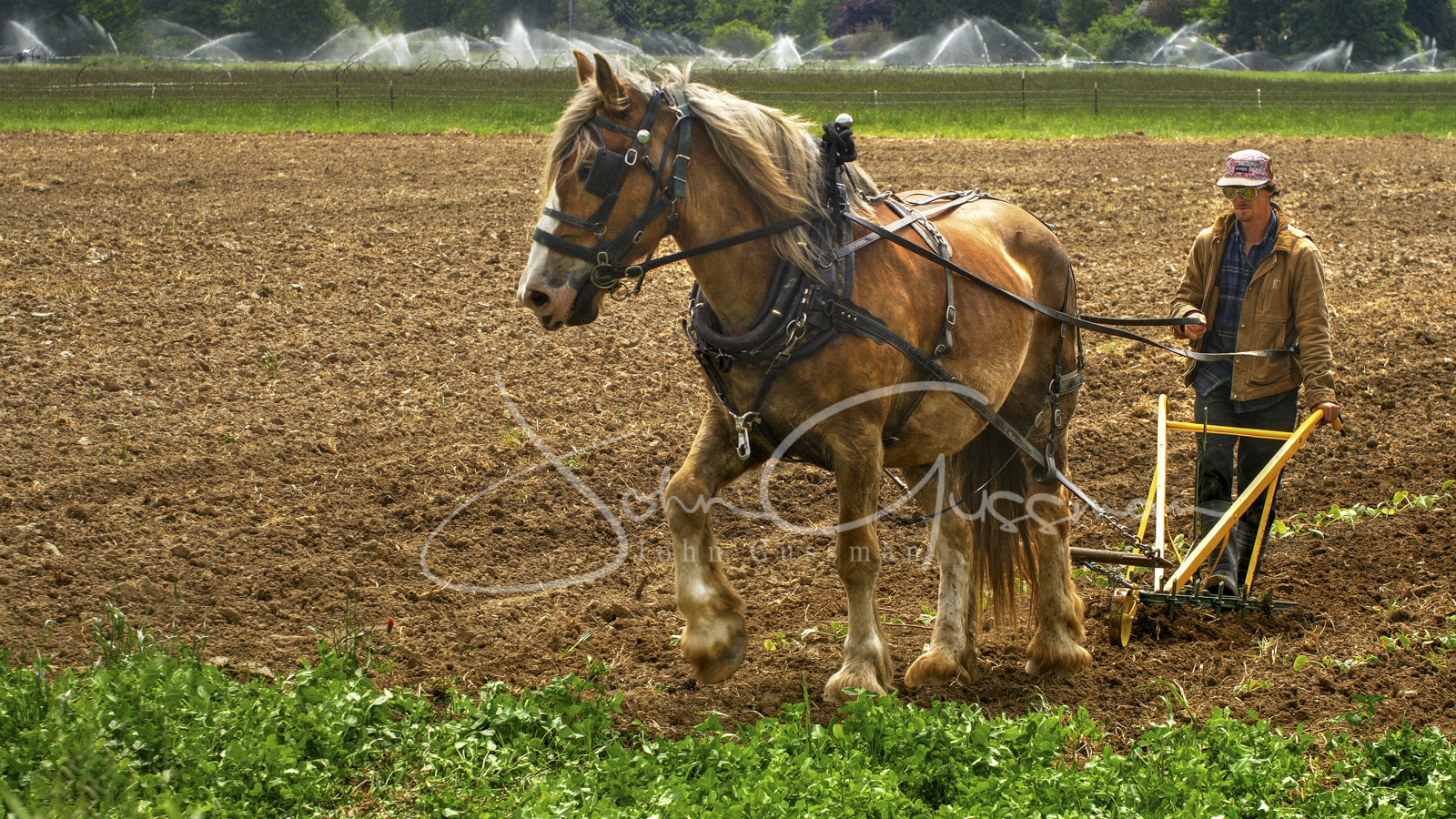 plowing_tonemapped