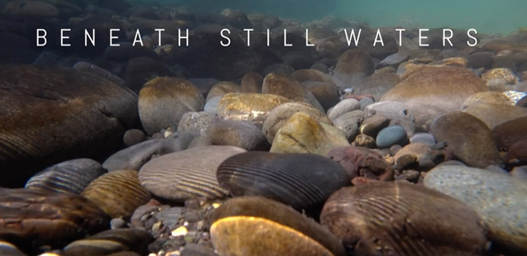 Beneath Still Waters