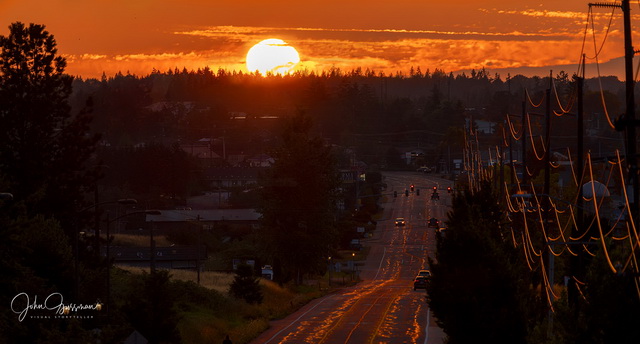 olympic peninsula landscape