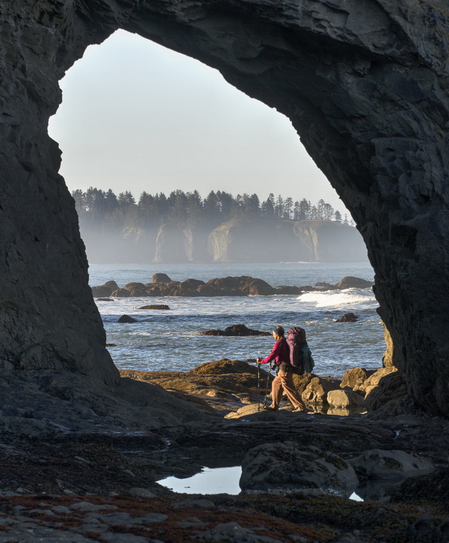 olympic peninsula landscape