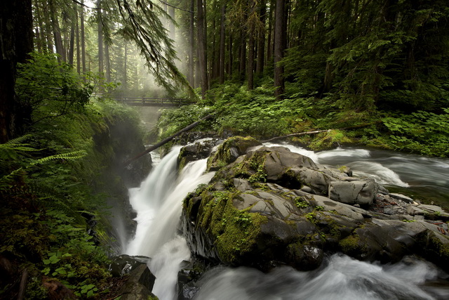 olympic peninsula landscape