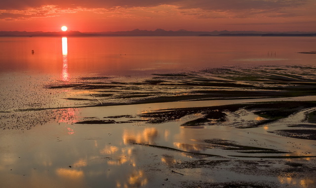 olympic peninsula landscape